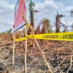KLH/BPLH menemukan kebakaran lahan sekitar 454 hektare di konsesi PT Bintang Harapan Palma, OKI, Sumatera Selatan. (Foto: ReportaseNews/Don)
