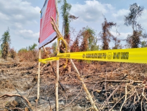 KLH/BPLH menemukan kebakaran lahan sekitar 454 hektare di konsesi PT Bintang Harapan Palma, OKI, Sumatera Selatan. (Foto: ReportaseNews/Don)