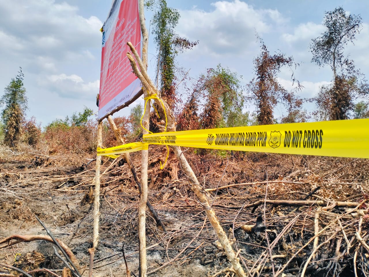 KLH/BPLH menemukan kebakaran lahan sekitar 454 hektare di konsesi PT Bintang Harapan Palma, OKI, Sumatera Selatan. (Foto: ReportaseNews/Don)