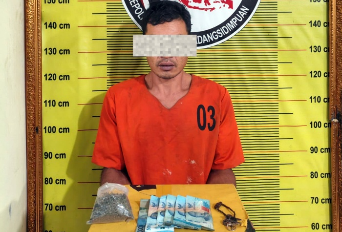 Polres Padangsidimpuan Tangkap Pengedar Ganja