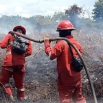Antisipasi El Niño, Kementerian Kehutanan Periksa KesiapanCegah Karhutla di Kalimantan Barat