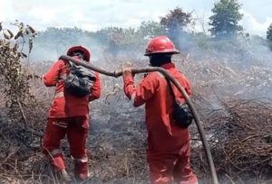 Antisipasi El Niño, Kementerian Kehutanan Periksa KesiapanCegah Karhutla di Kalimantan Barat