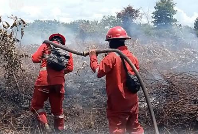Antisipasi El Niño, Kementerian Kehutanan Periksa KesiapanCegah Karhutla di Kalimantan Barat