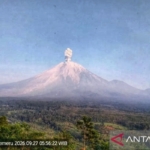 Gunung Semeru kembali erupsi pada Minggu pagi dengan kolom abu mencapai 1.300 meter di atas puncak. Status gunung berada pada Level III atau Siaga. (Antara)