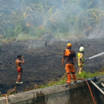 Kebakaran lahan alang-alang seluas 1,5 hektare terjadi di Pluit, Jakarta Utara. Petugas damkar mengerahkan tiga unit dan memadamkan api dalam satu jam. (Gulkarmat Jakarta Utara)