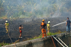 Kebakaran lahan alang-alang seluas 1,5 hektare terjadi di Pluit, Jakarta Utara. Petugas damkar mengerahkan tiga unit dan memadamkan api dalam satu jam. (Gulkarmat Jakarta Utara)