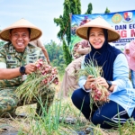 Lanud Halim Panen Bawang, Dukung Ketahanan Pangan