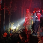 Polisi Bersama Masyarakat Berhasil Padamkan Kebakaran Hutan Pinus di Ngawi